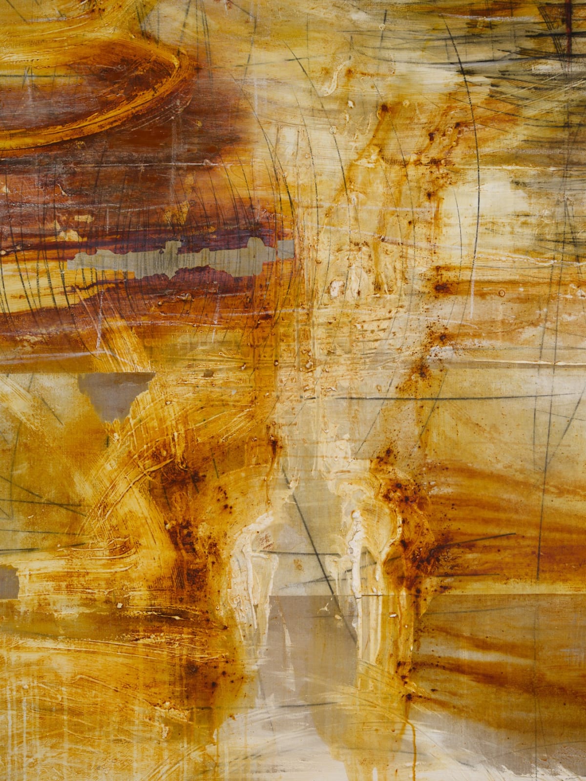 Minh Lan Tran, Morphic Resonance, 2025