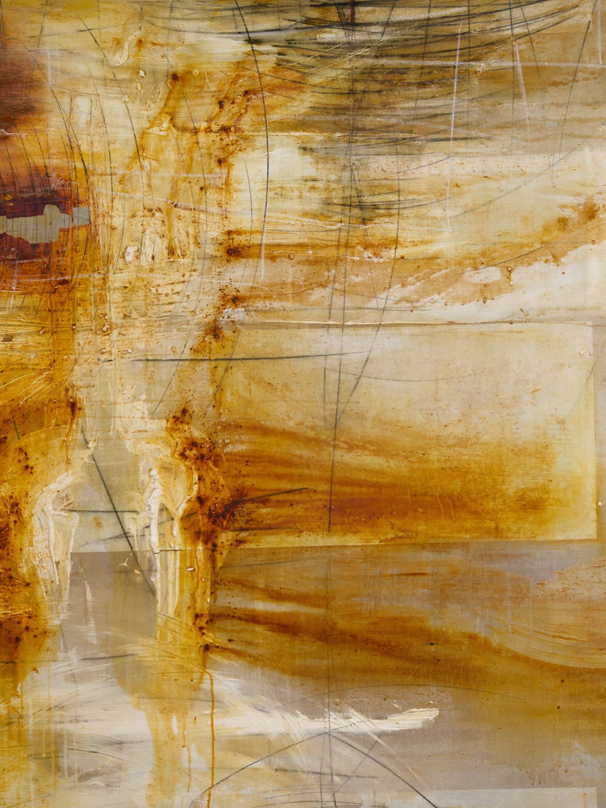 Minh Lan Tran, Morphic Resonance, 2025
