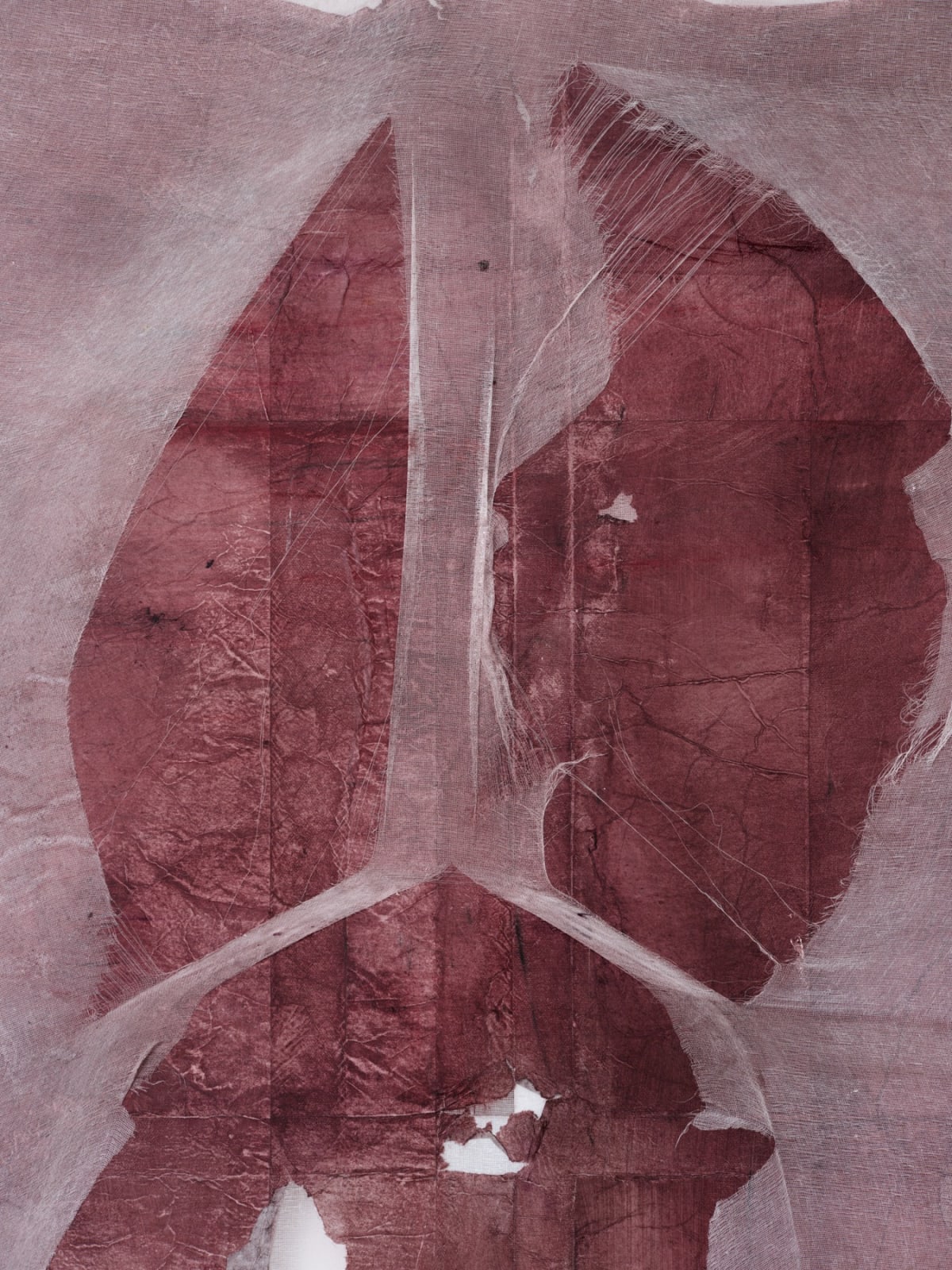 Minh Lan Tran, In the Beginning was the Cry, 2025
