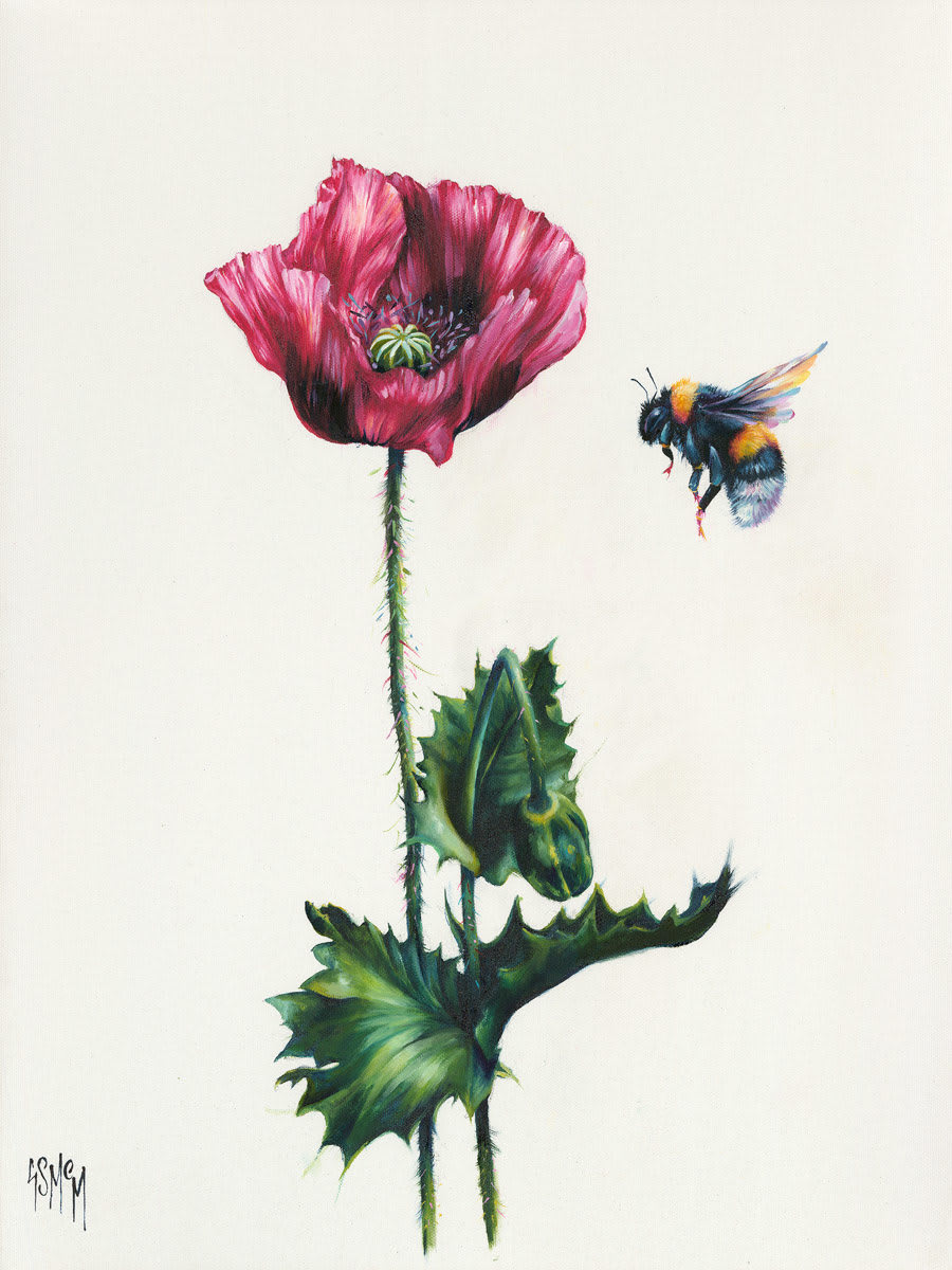 Georgina McMaster, Summer Scent