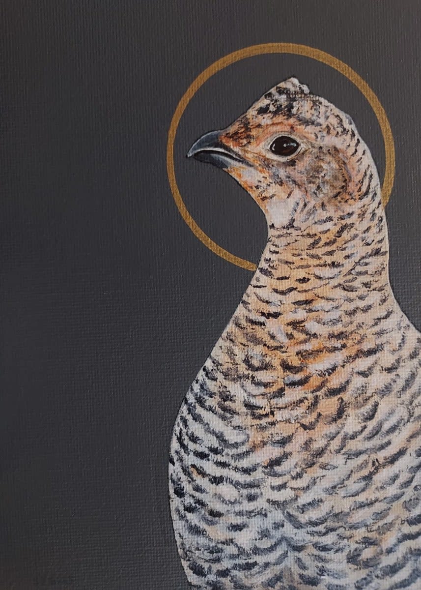 Stanley Bird, Fair Game