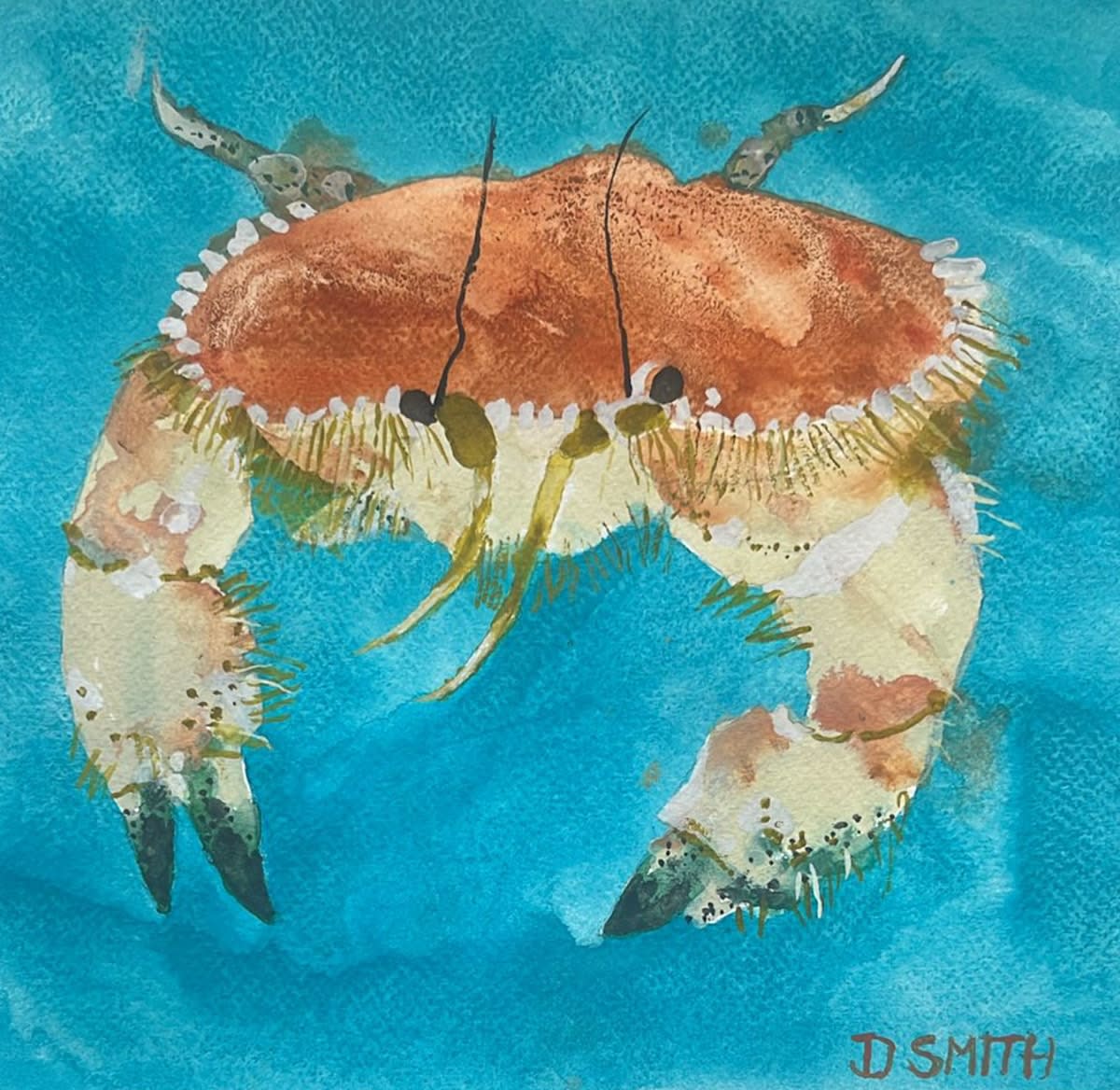 David Smith RSW, Edible Crab Study