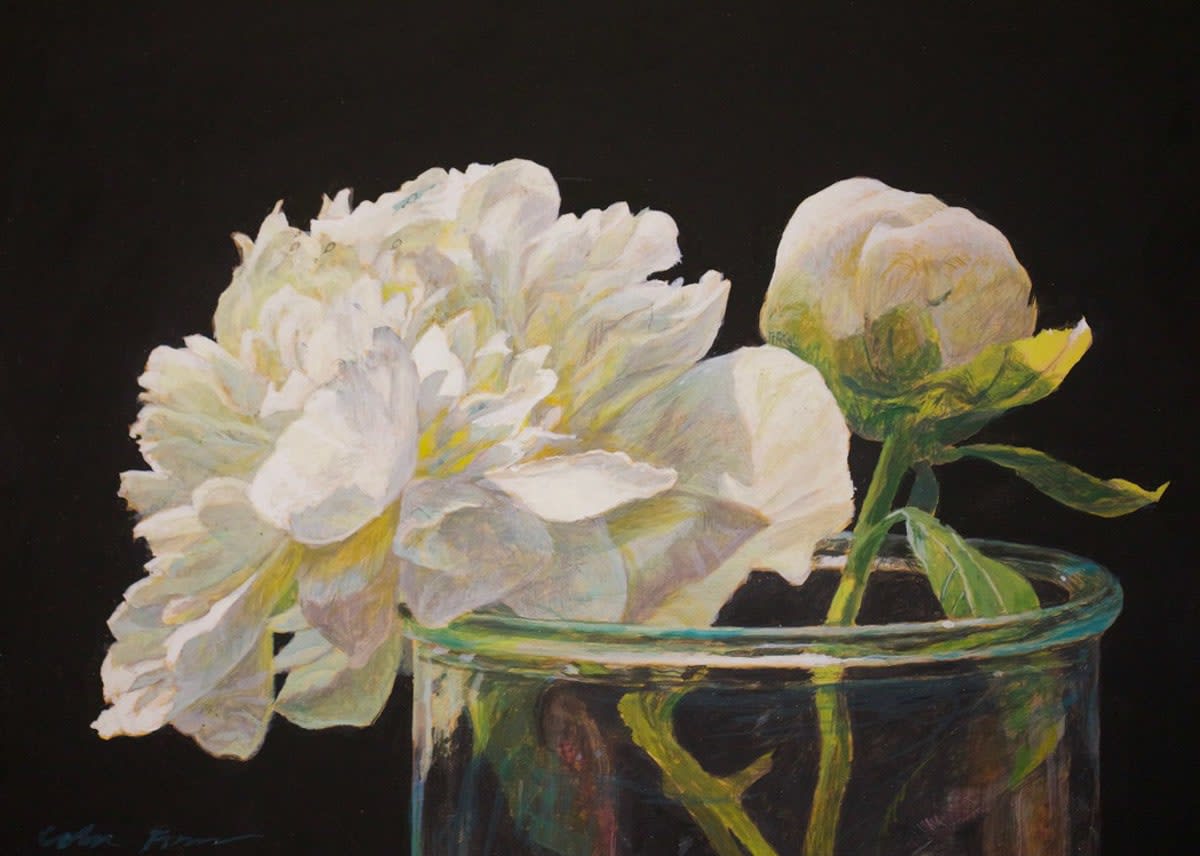 Colin Fraser, White Caps