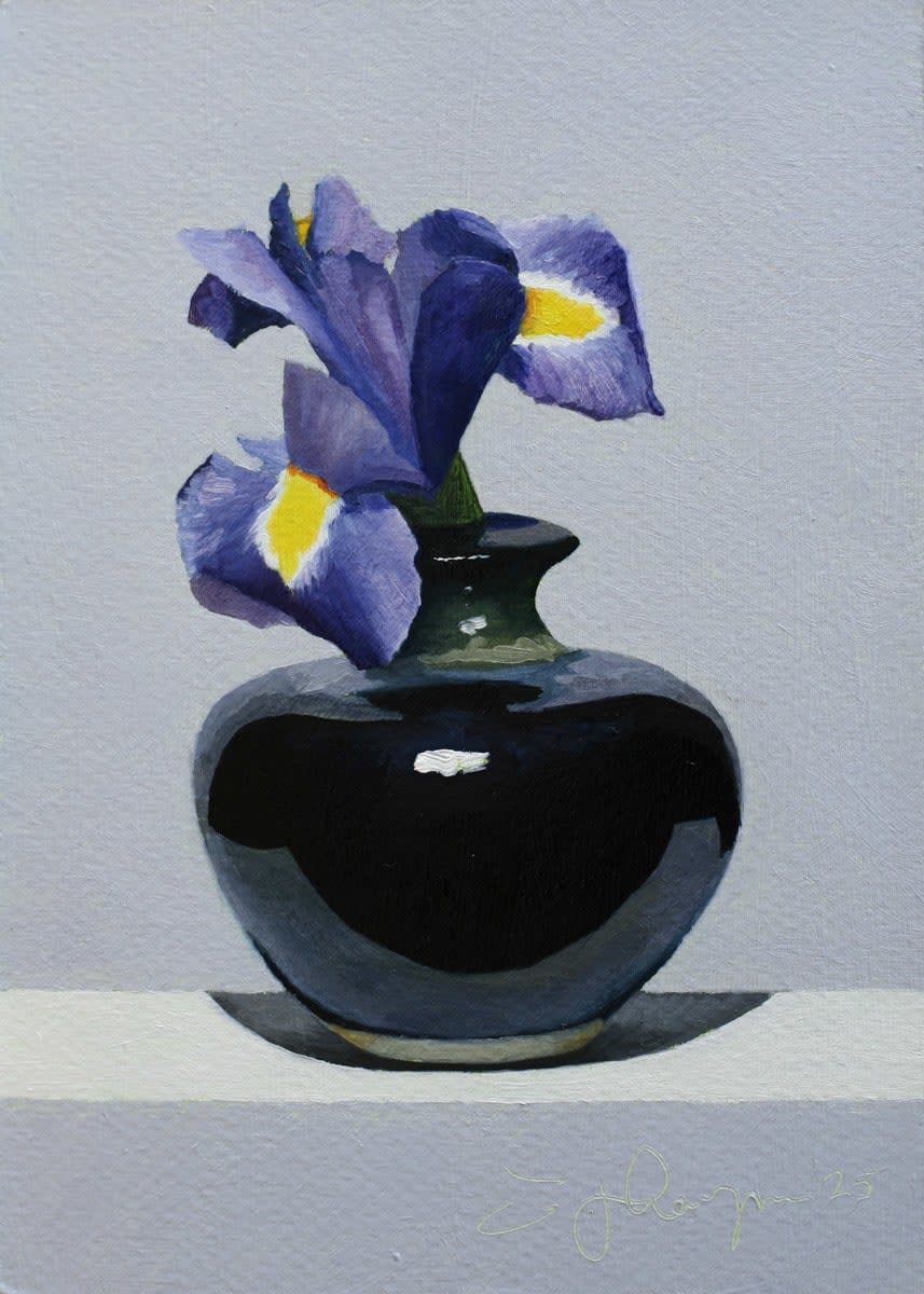 Andrew Thompson, Irises