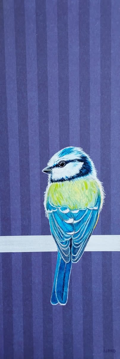 Stanley Bird, Blue, Indigo & Violet