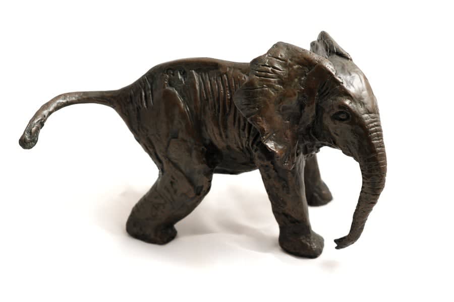 Laurence Broderick, Indian Elephant