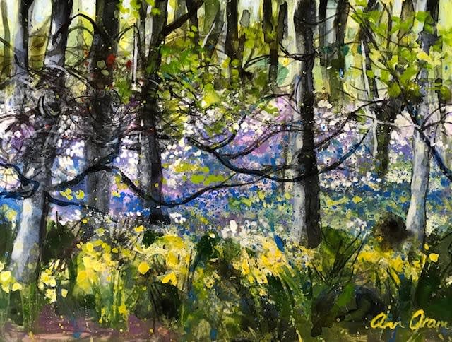 Ann Oram, Ballater Meadows