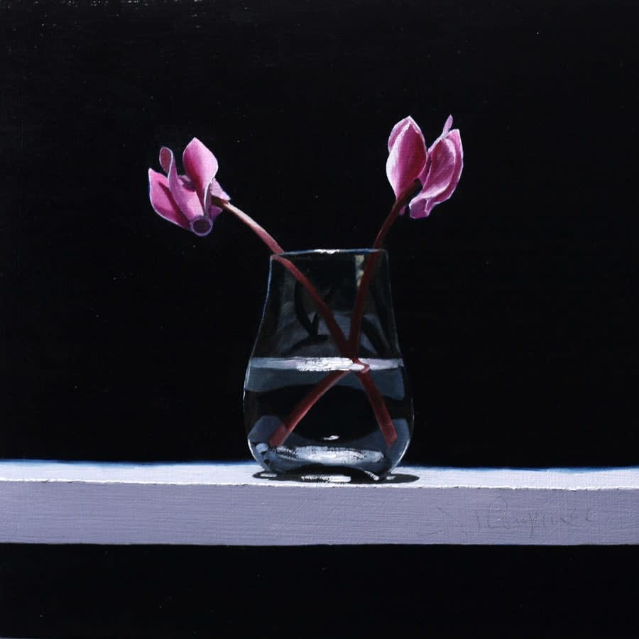 Andrew Thompson, Cyclamen