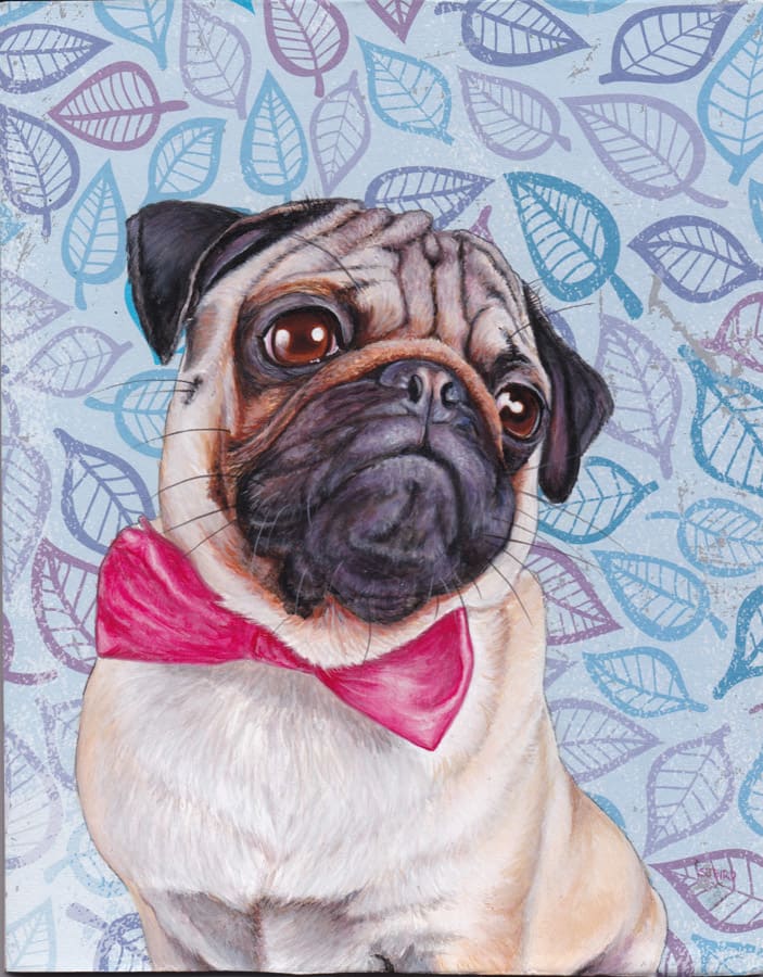 Stanley Bird, Percival Pug in Pink Satin