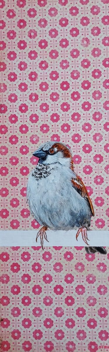Stanley Bird, Houseproud Sparrow