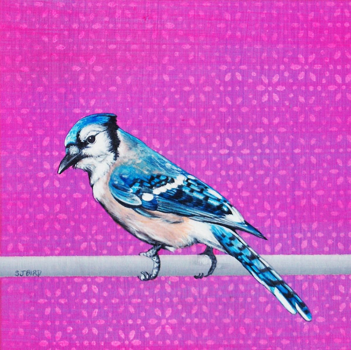 Stanley Bird, Blue Boy