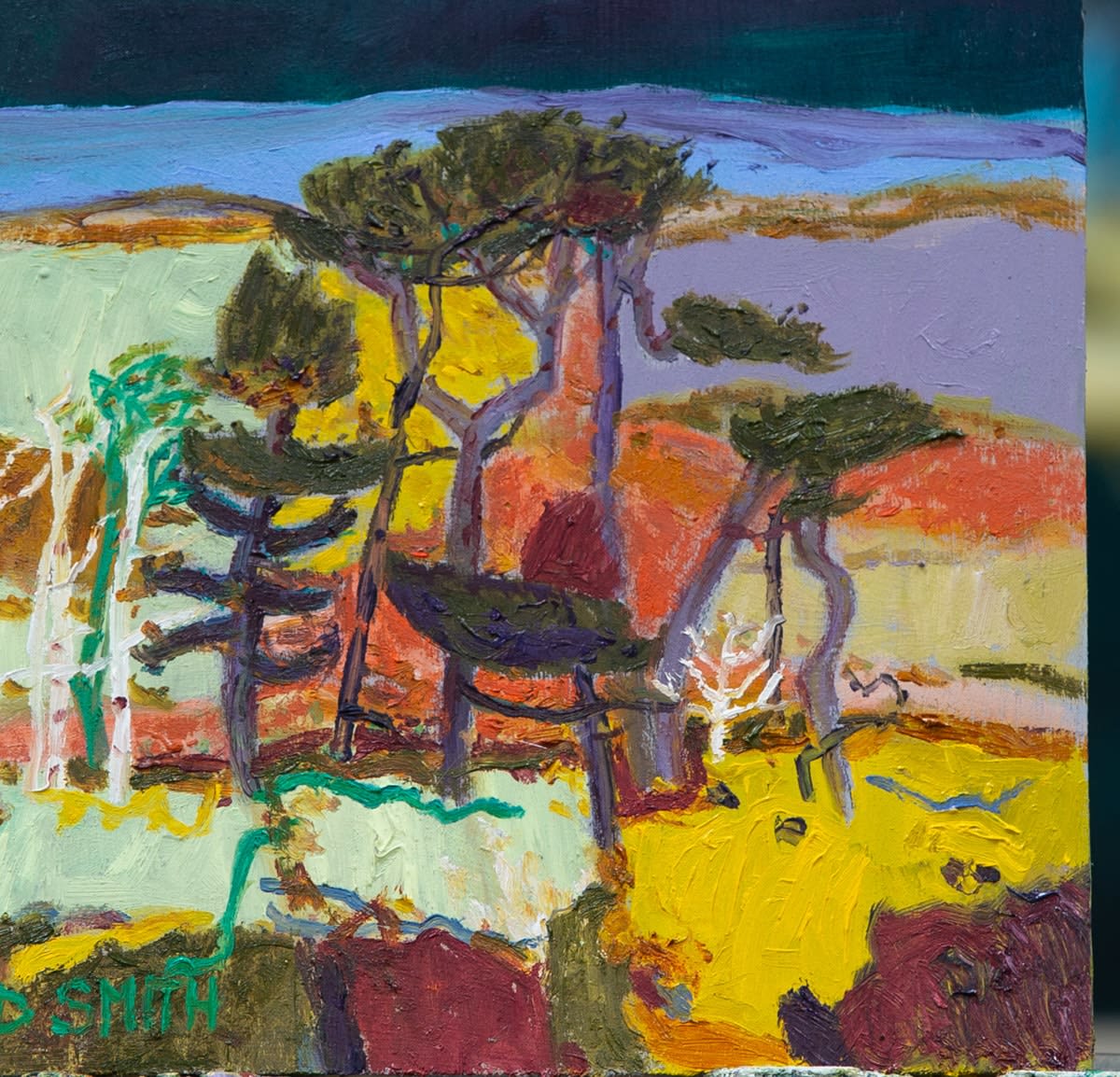 David Smith RSW, Ballater Pines Loch Muick