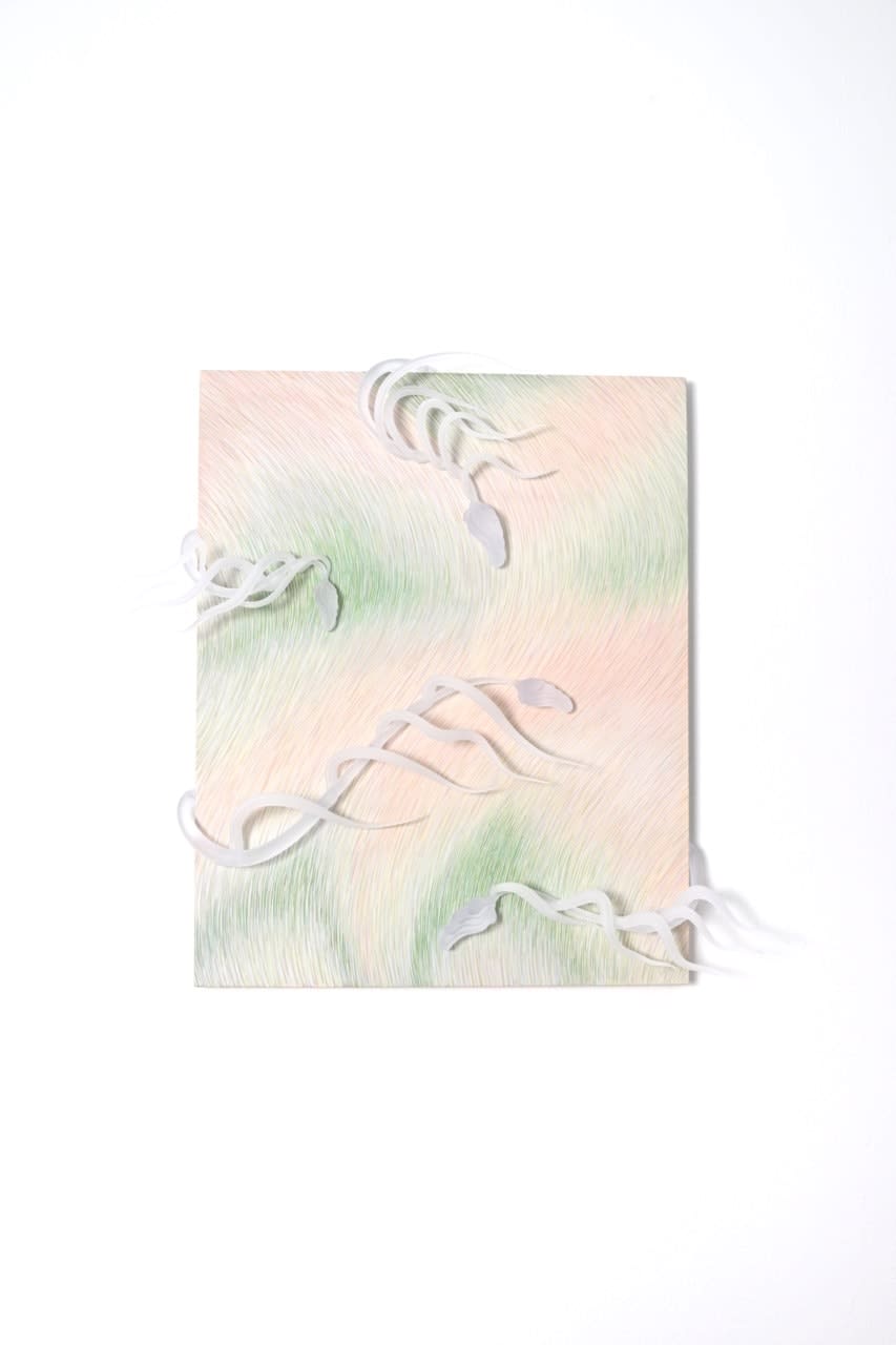 Anastasia Komar 阿纳斯塔西娅·科马尔 , Micellae 胶束, 2023