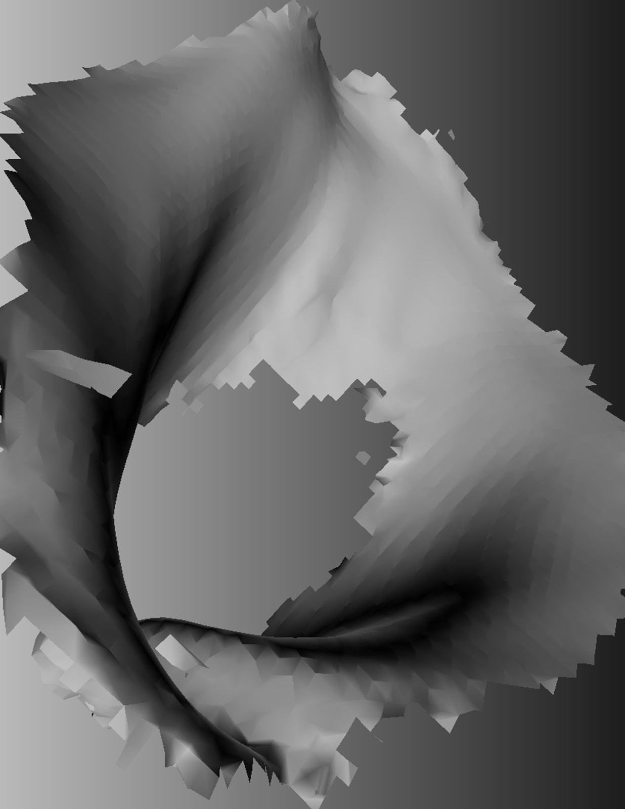 Amy Yao 姚书安, Opt Out, Lily 自愿退出，百合, 2015