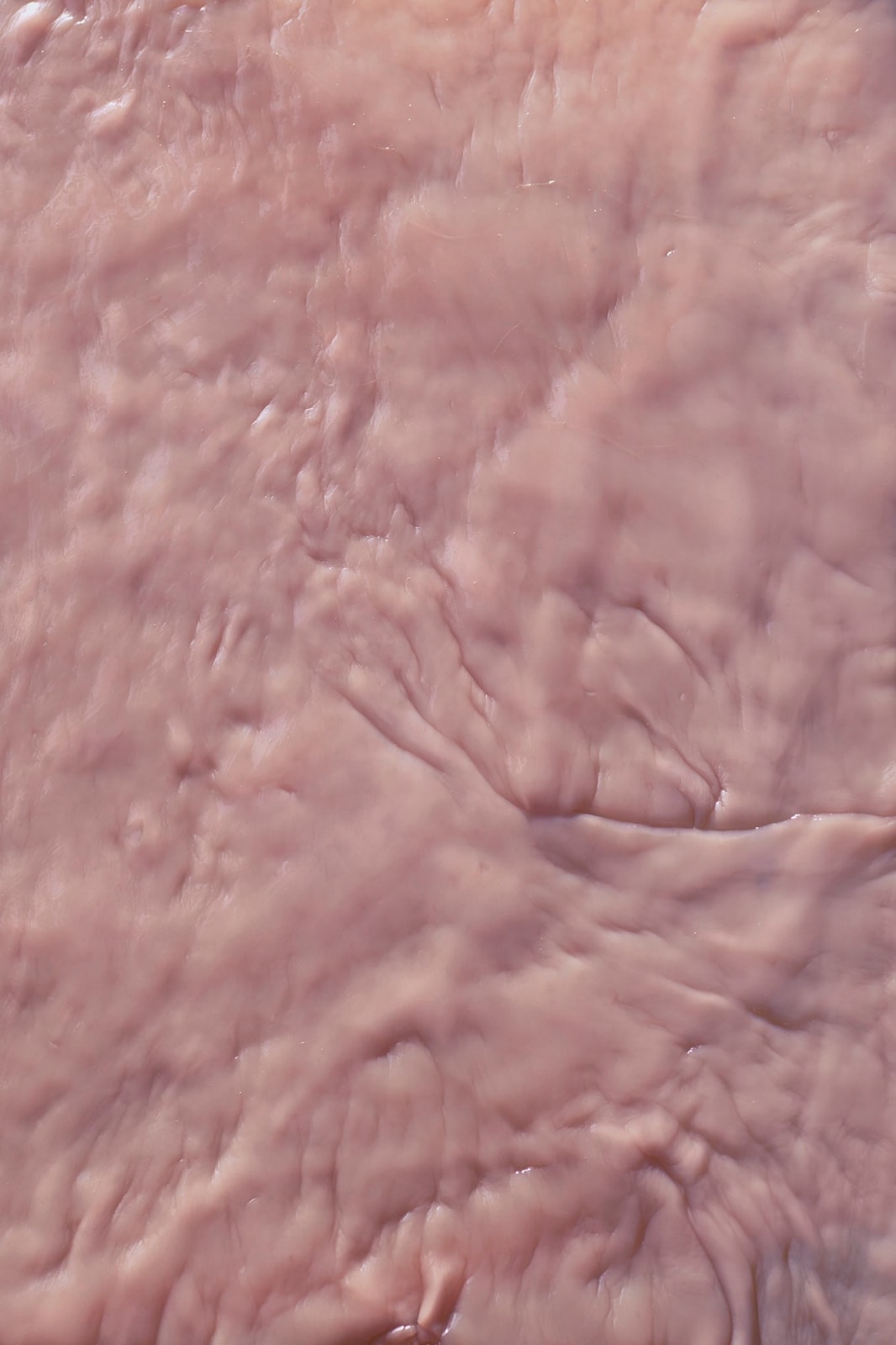 Chen Zhe 陈哲, Me You Us 3 我 你 我们 3, 2020