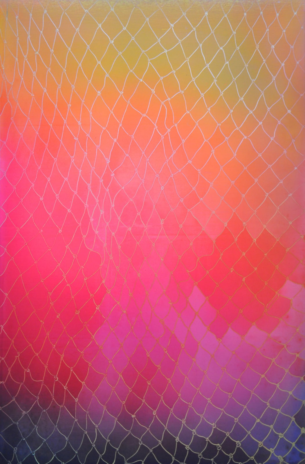 Zhou Ming 周铭, Net 1 网1, 2016