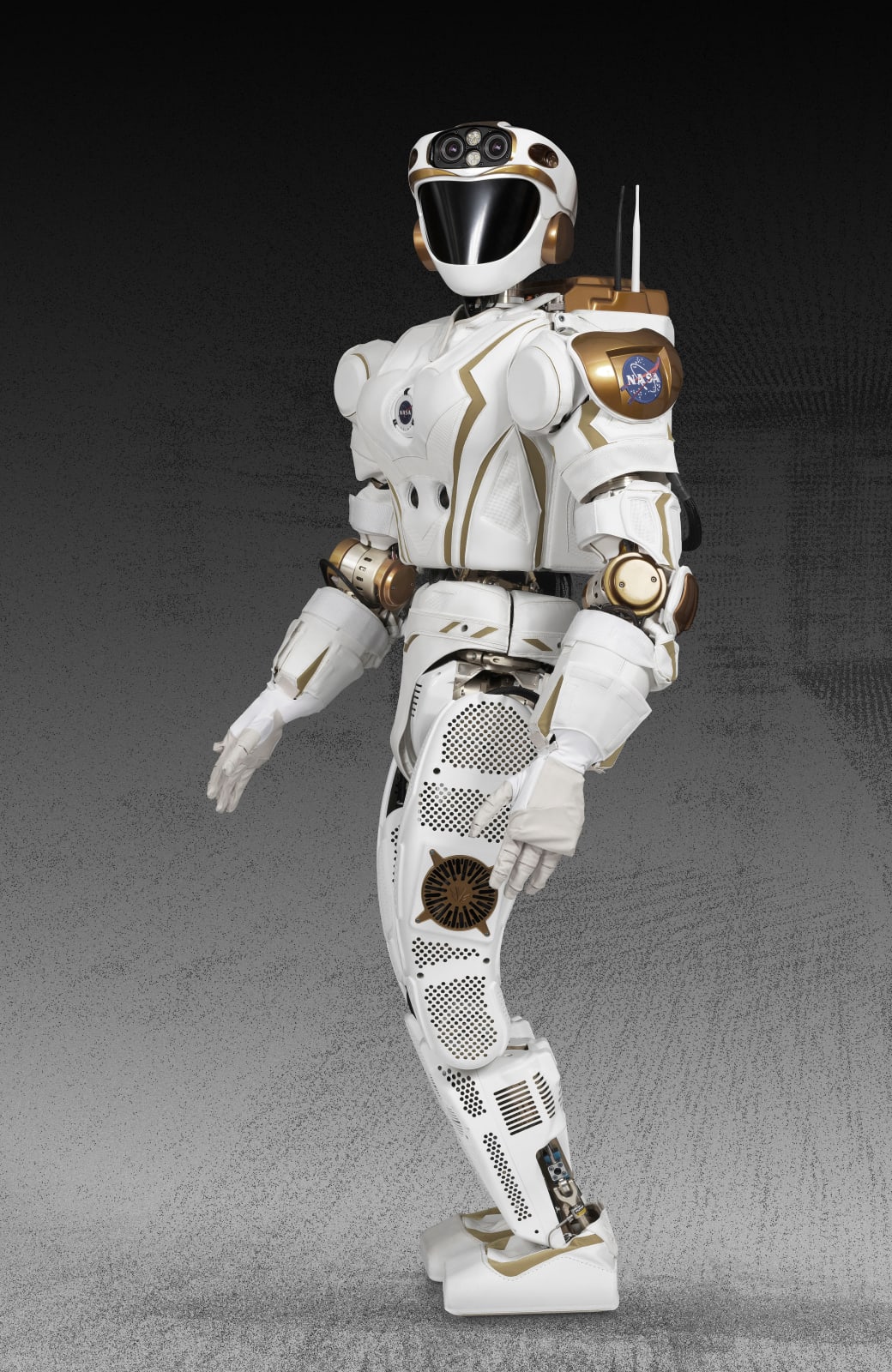 Michael Najjar 迈克尔·耐贾尔 , start HR4DSE star HR4DSE, 2017