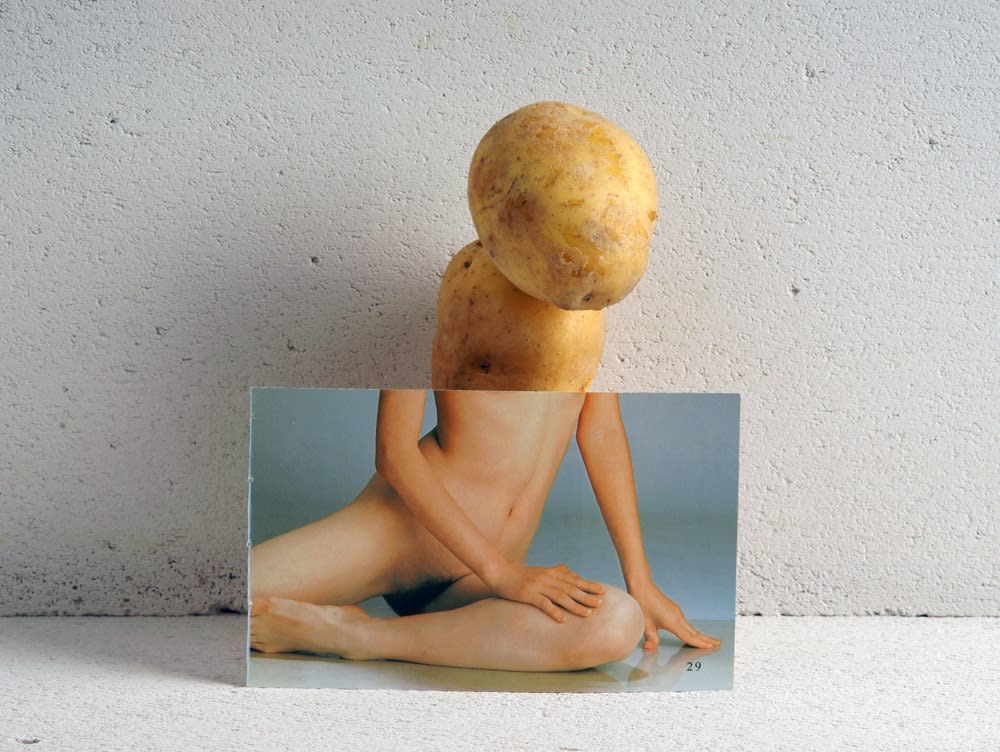 Heidi Voet 海蒂·芙欧特 , FRUIT & VEGETABLES 蔬菜与水果