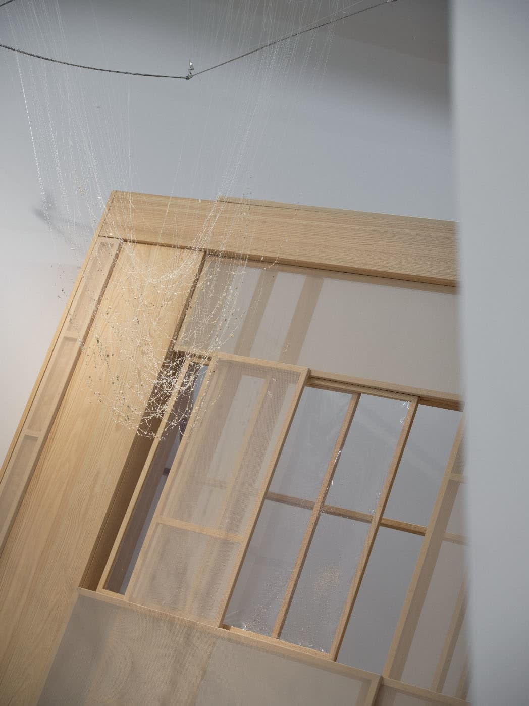 Chen Ruofan 陈若璠, Soft Window 软窗, 2024