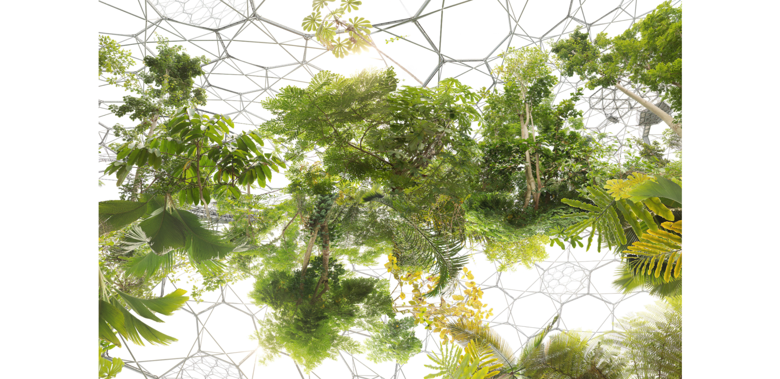 Michael Najjar 迈克尔·耐贾尔, space garden 太空花园, 2013