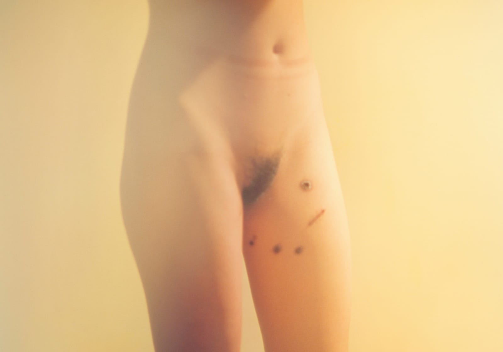 Chen Zhe 陈哲, Bees #054-06蜜蜂#054-06, 2010