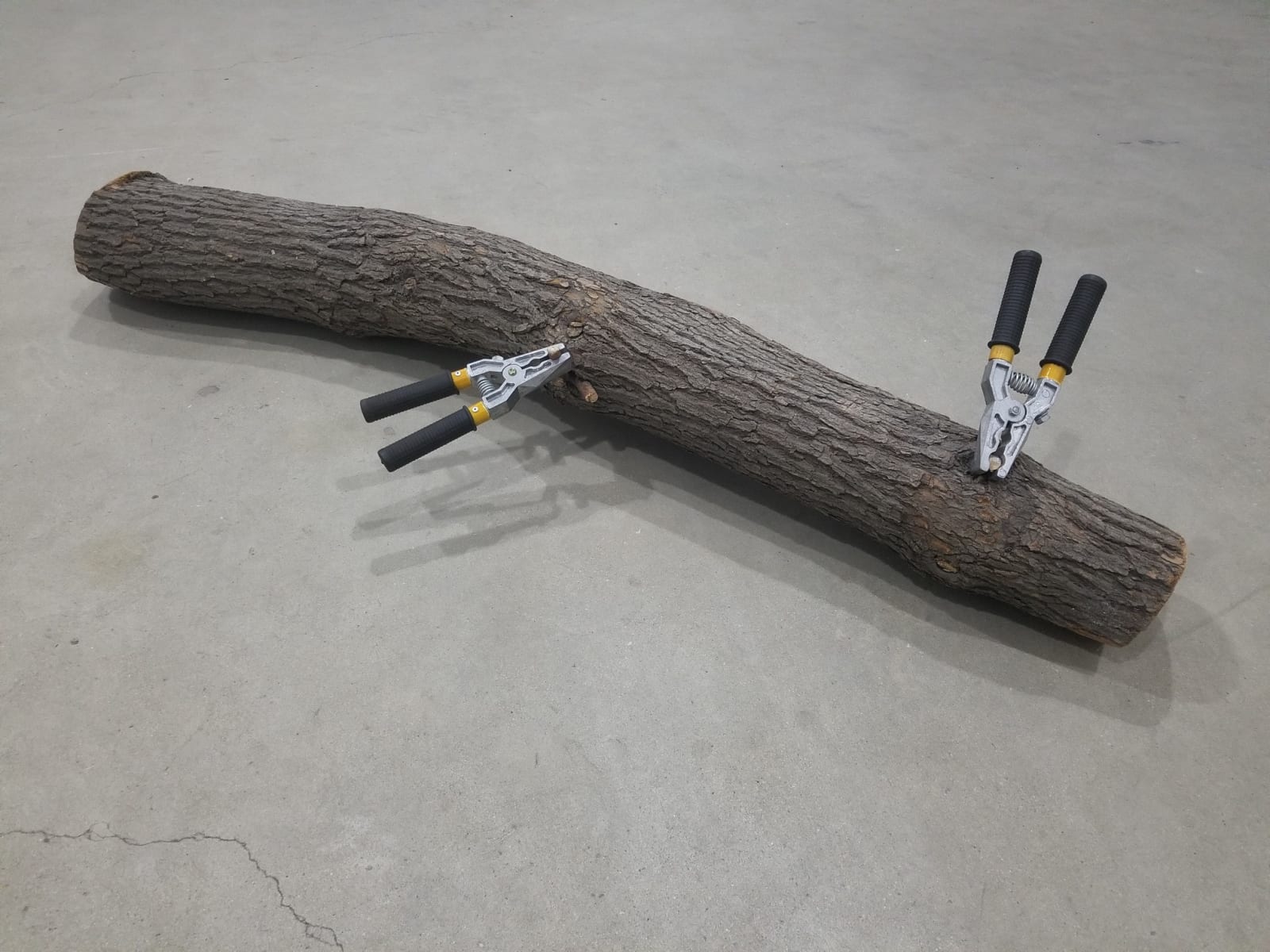 Gao Lei 高磊 , Perch 栖, 2019