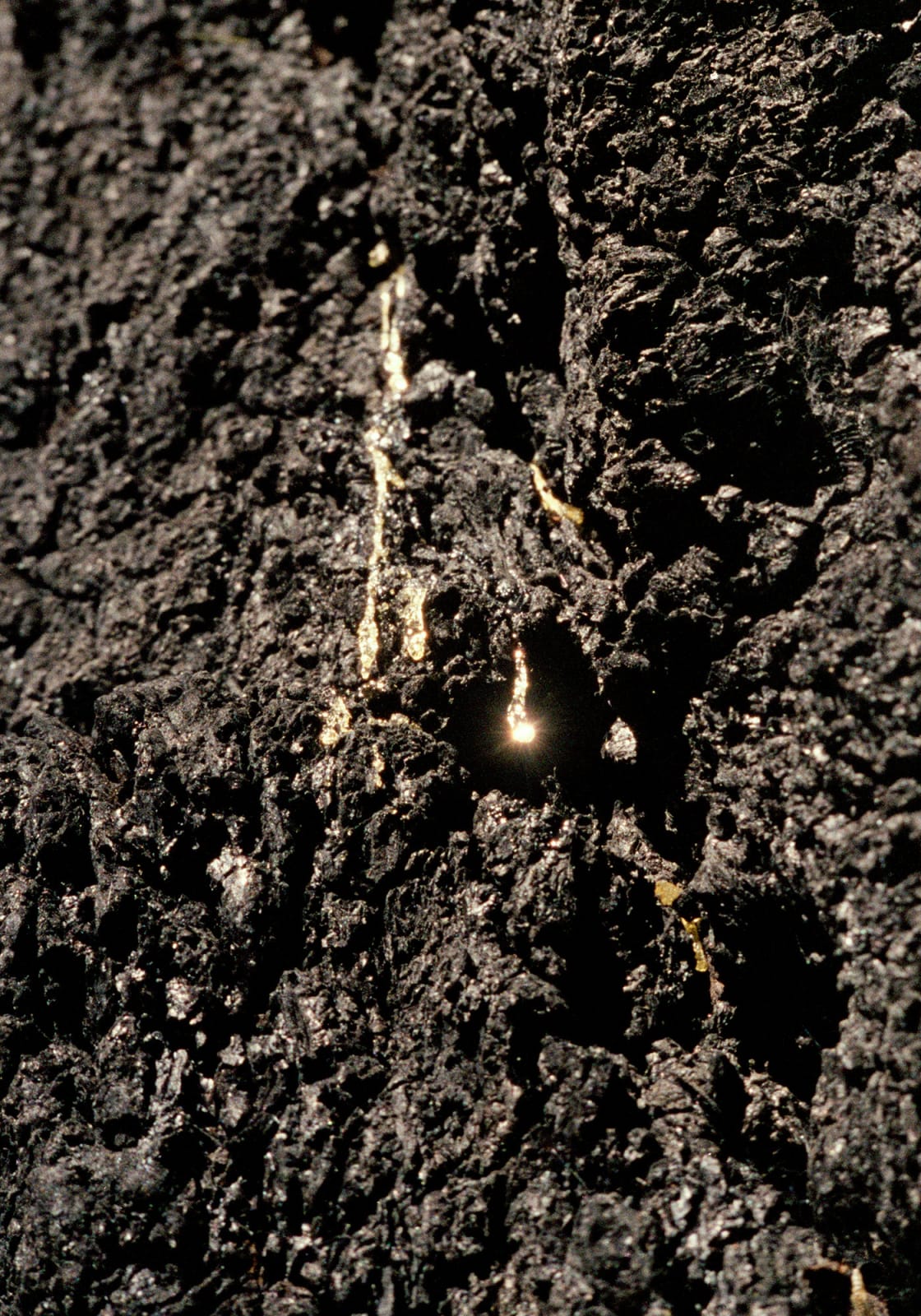 Chen Zhe 陈哲, An Expansion of Kobo Abe’s “The Red Cocoon”, Experiment II 1 对《赤之茧》的拓写尝试之二 1, 2016