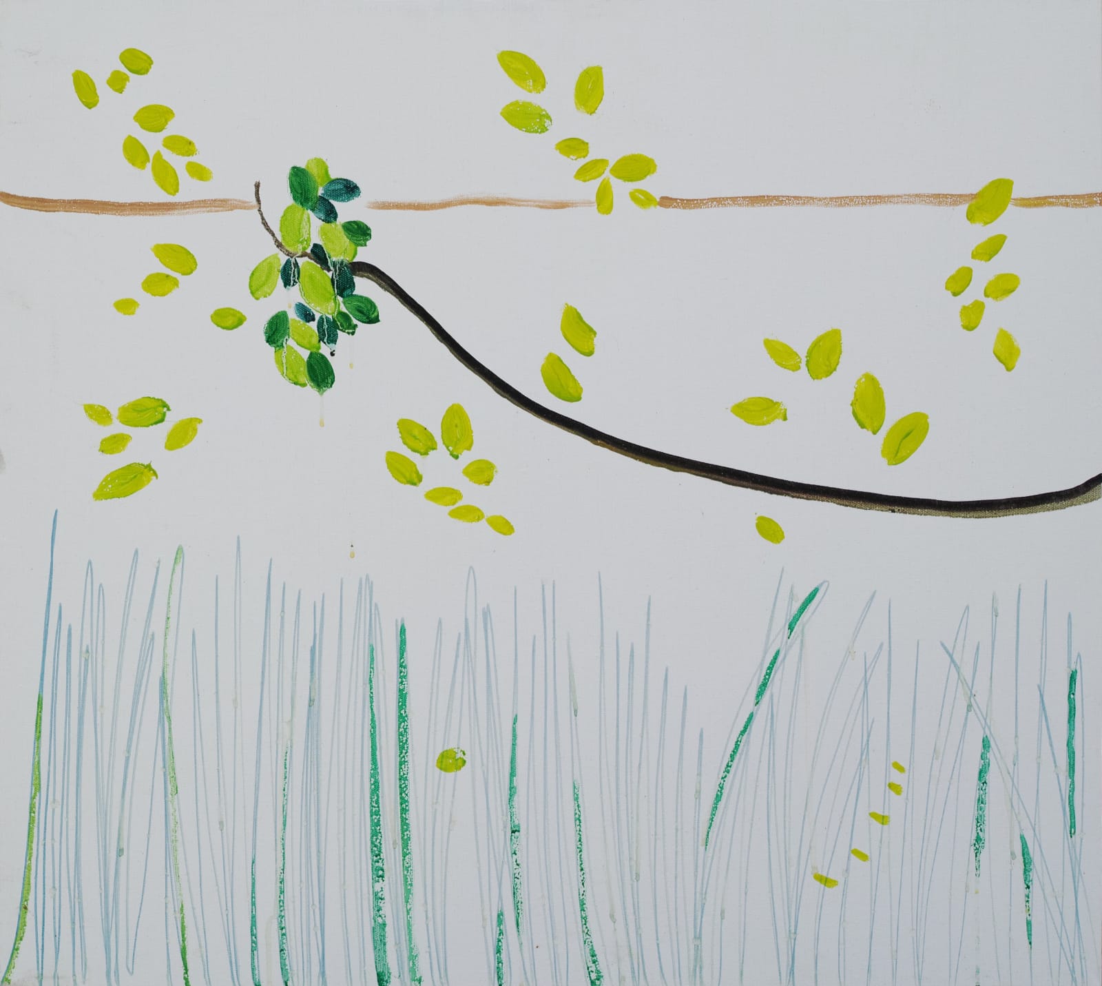 Zheng Haozhong 郑皓中, Windows 窗, 2017