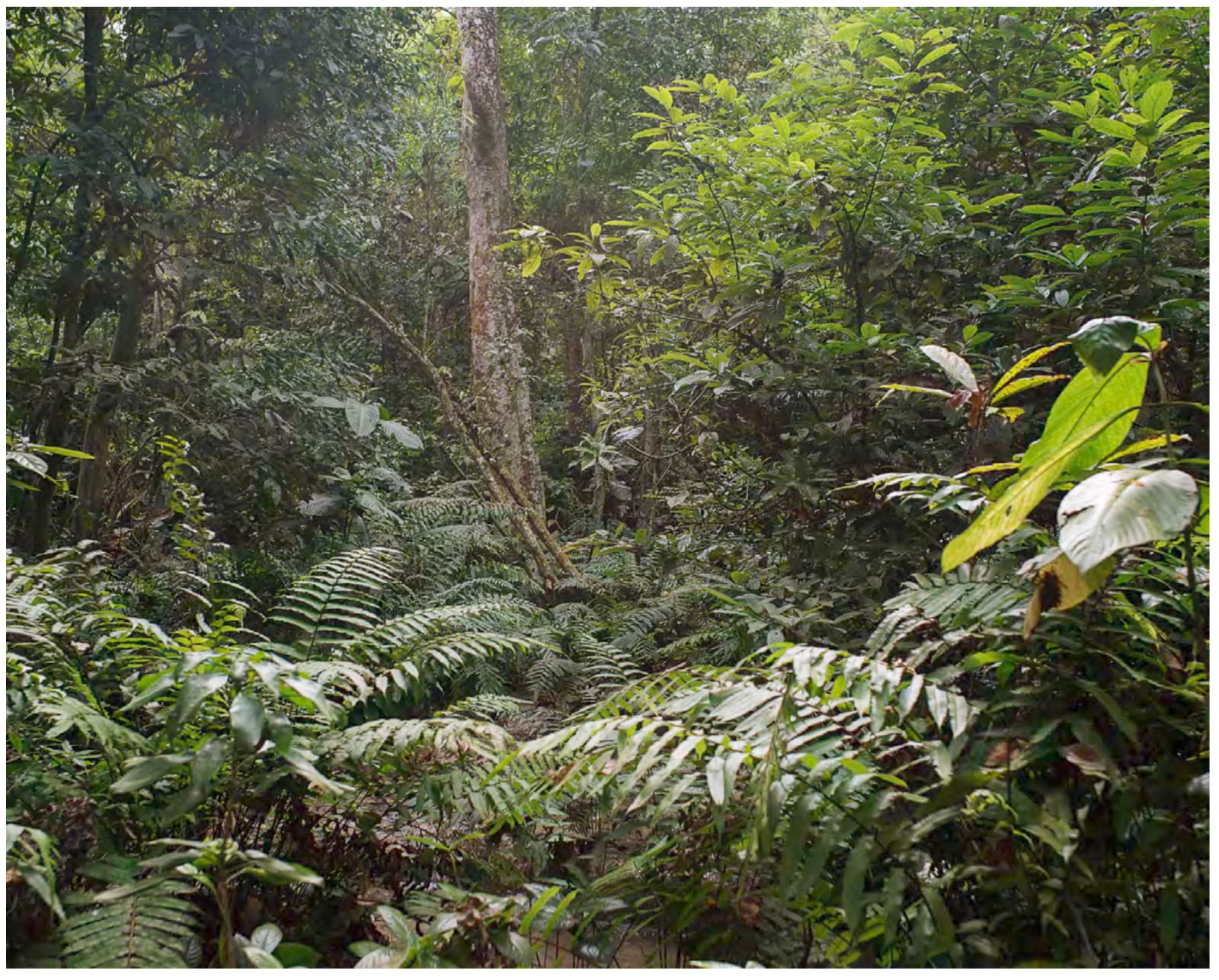 Pao Houa Her, untitled, from the series Pictures of paradise, 2022–2024