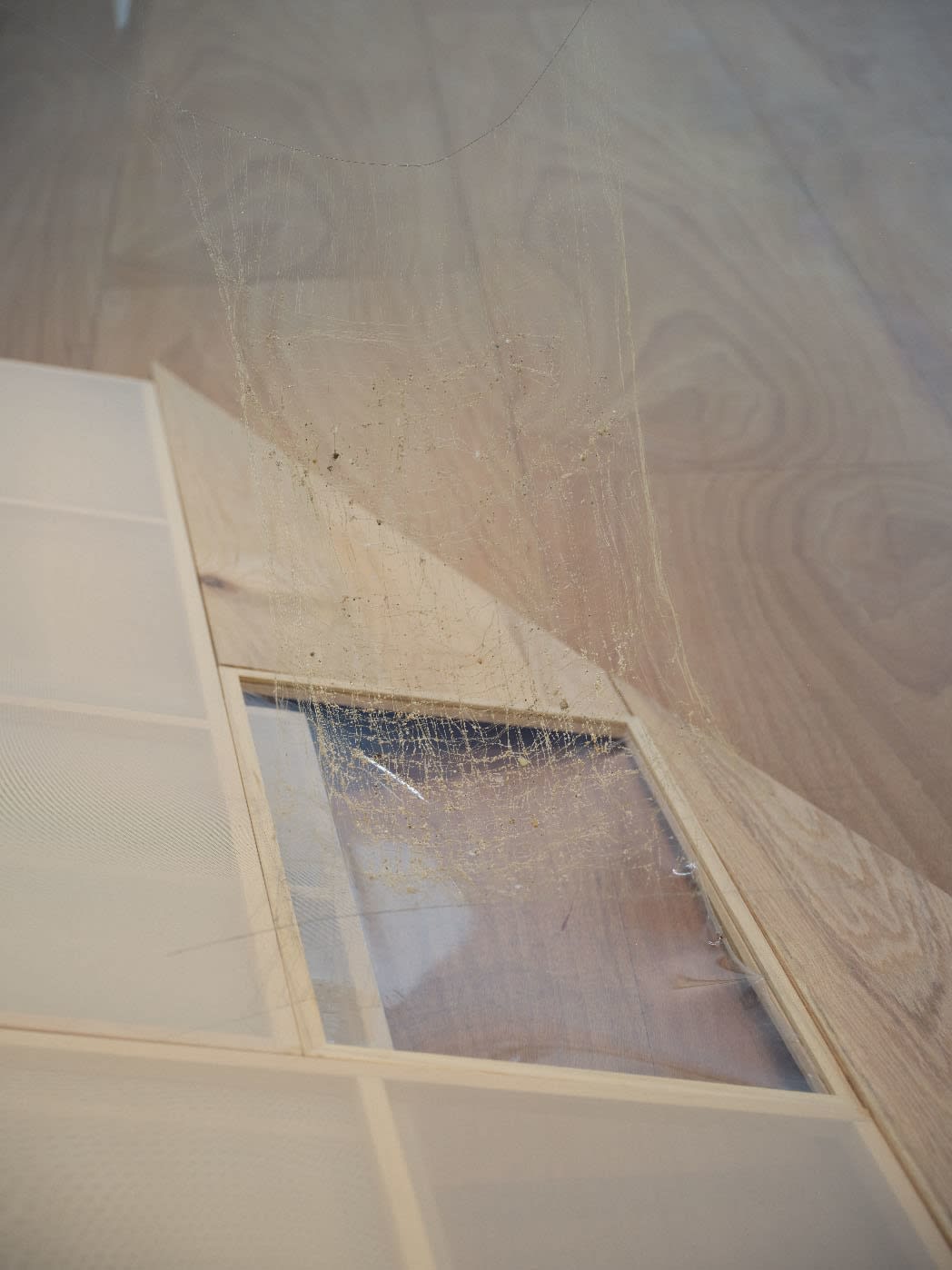 Chen Ruofan 陈若璠, Soft Window II 软窗 II, 2024