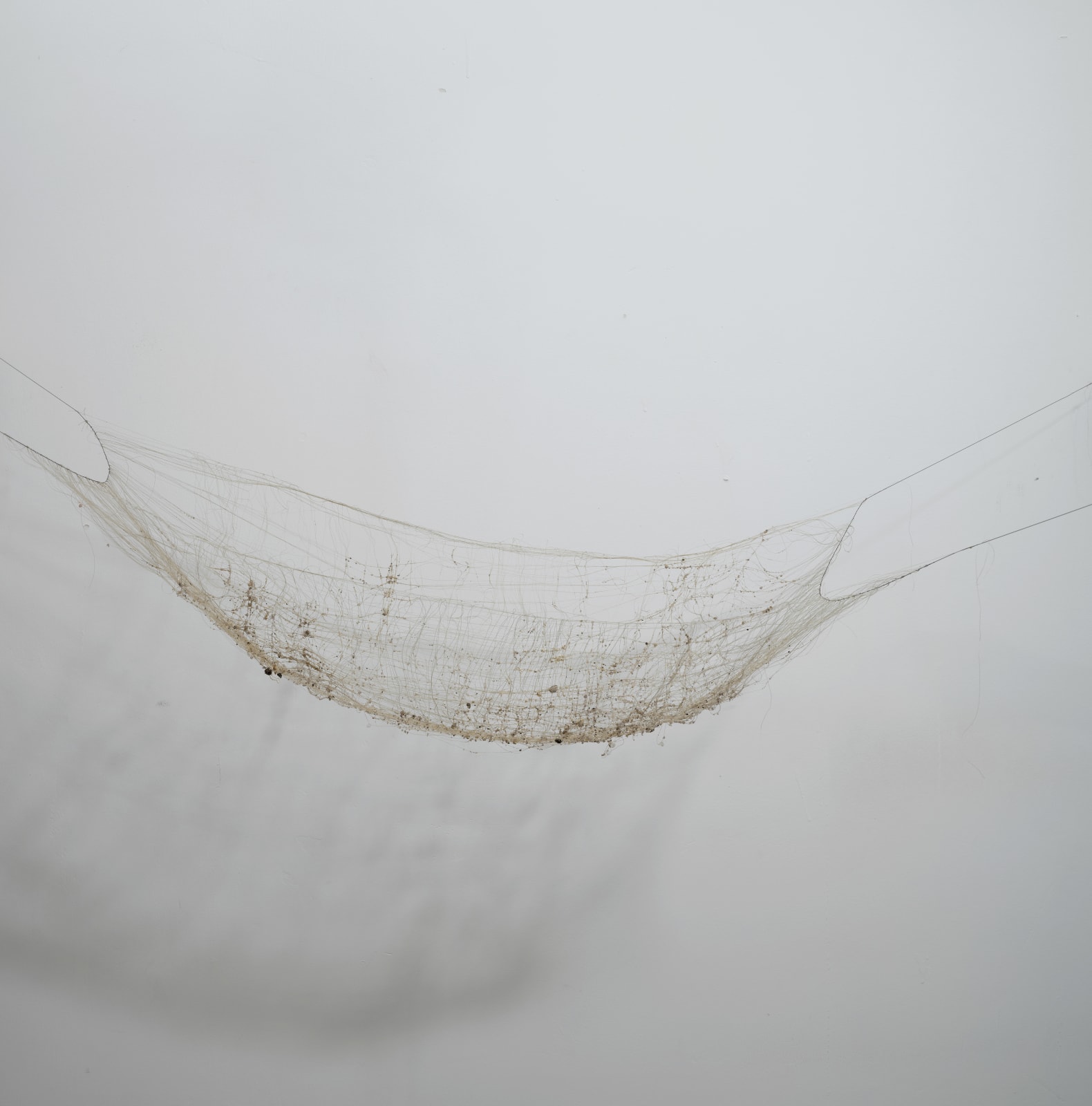 Chen Ruofan 陈若璠, Soft Window II 软窗 II, 2024