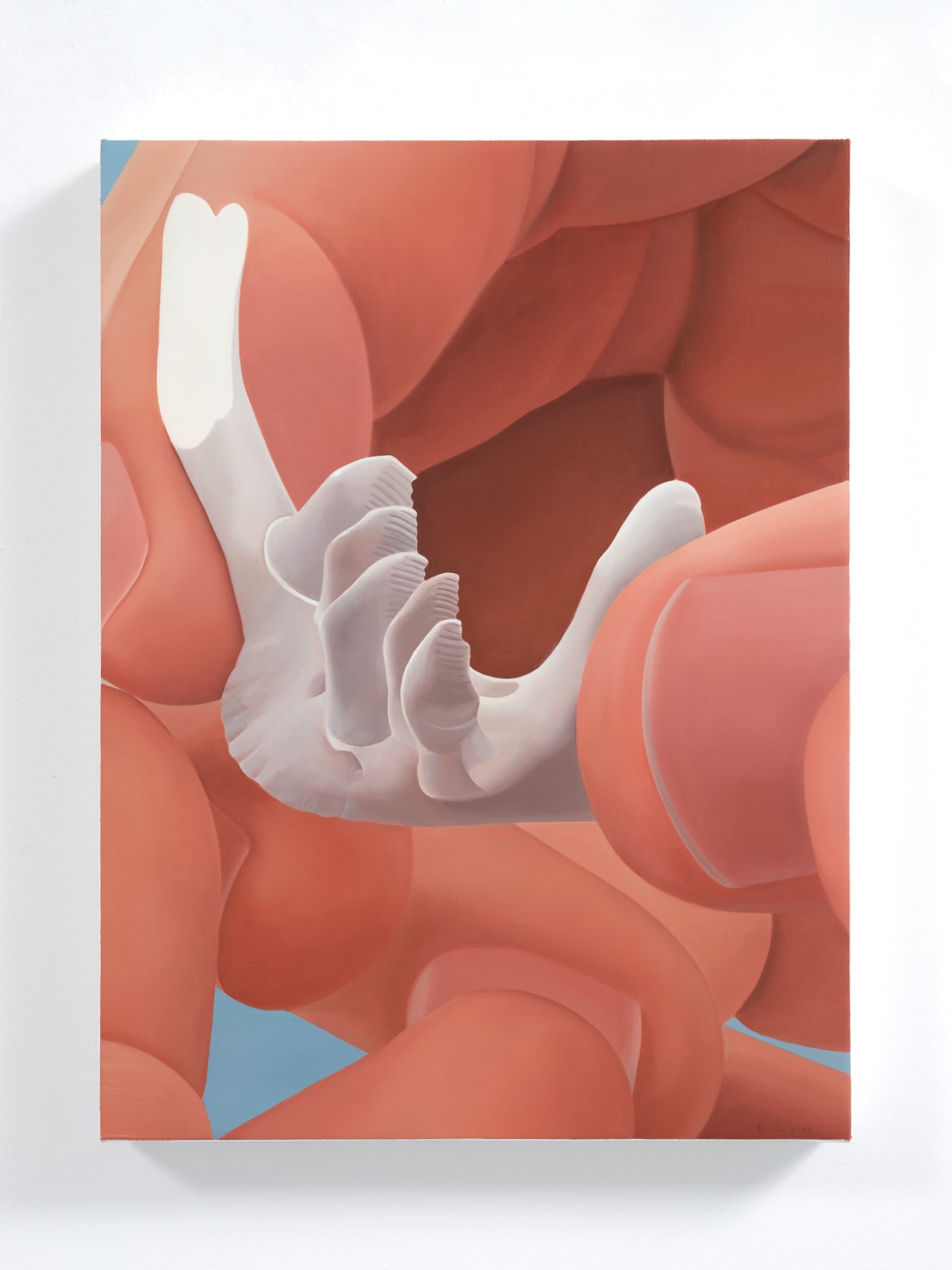 Liang Hao 梁浩, Tooth 牙齿, 2024