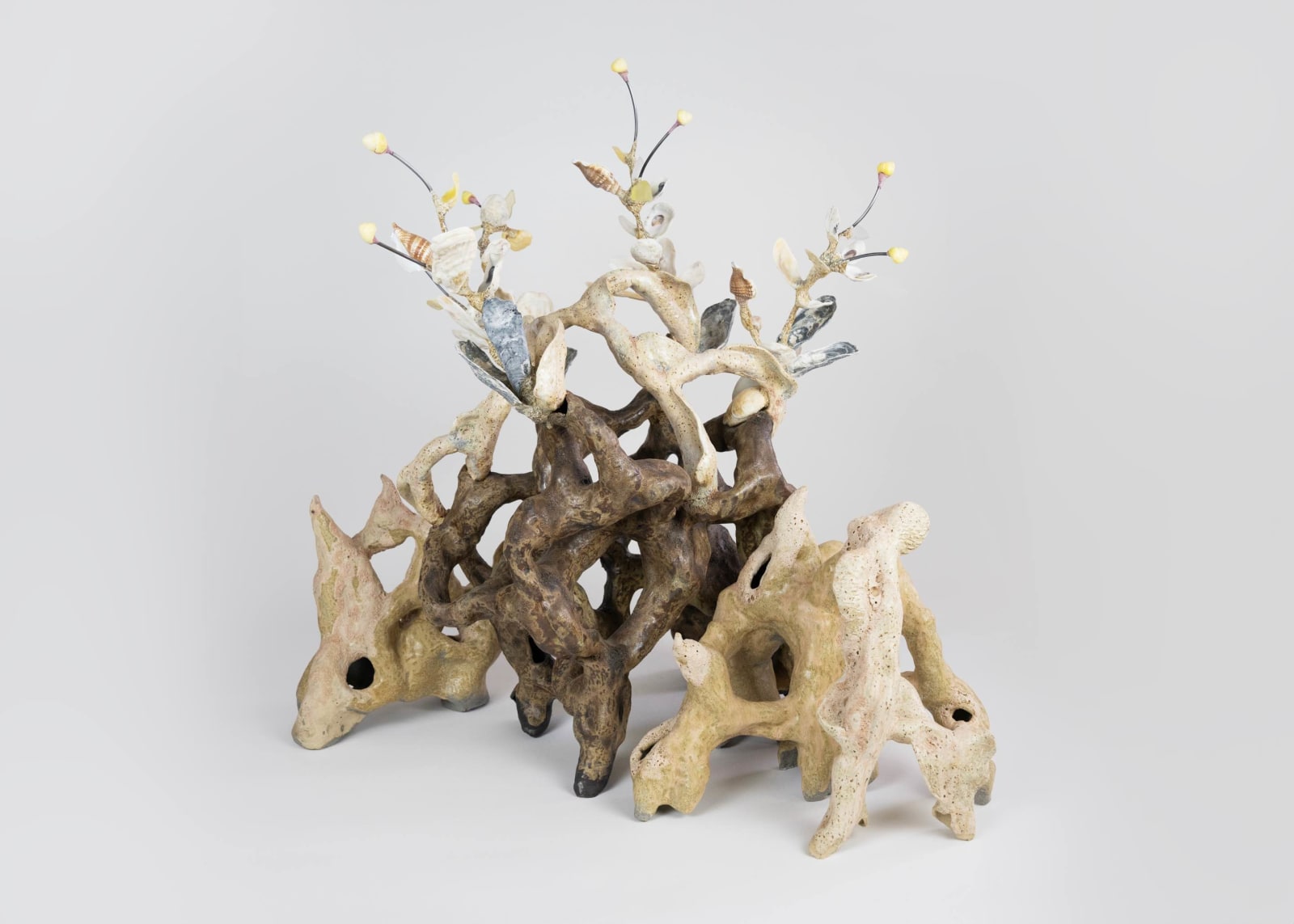 Shuyi Cao, Moon buds, 2025