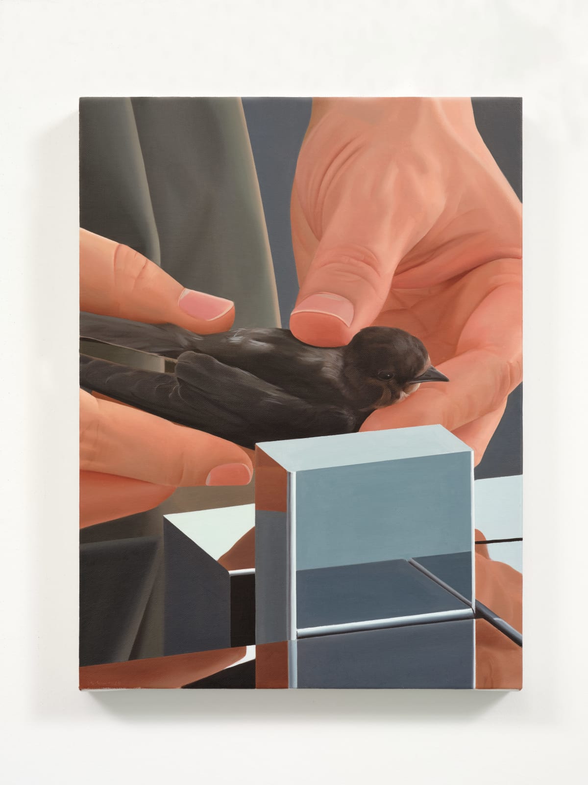 Liang Hao 梁浩, Ornithologist 观鸟人, 2024