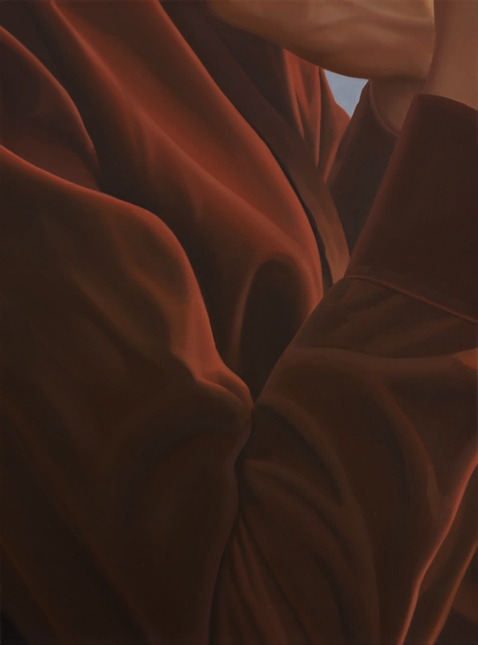 Liang Hao 梁浩, Purple Red Velet 红色天鹅绒, 2022