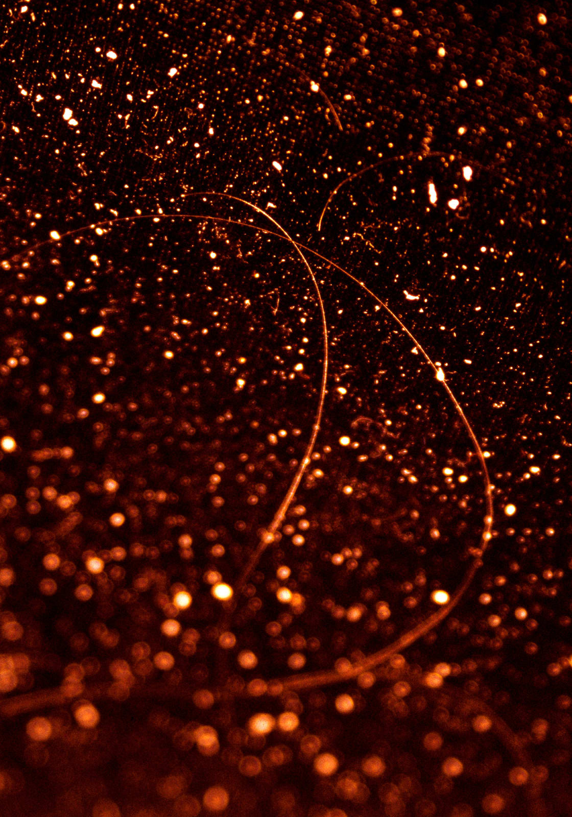 Chen Zhe 陈哲, An Expansion of Kobo Abe’s “The Red Cocoon”, Experiment II 4 对《赤之茧》的拓写尝试之二 4, 2016