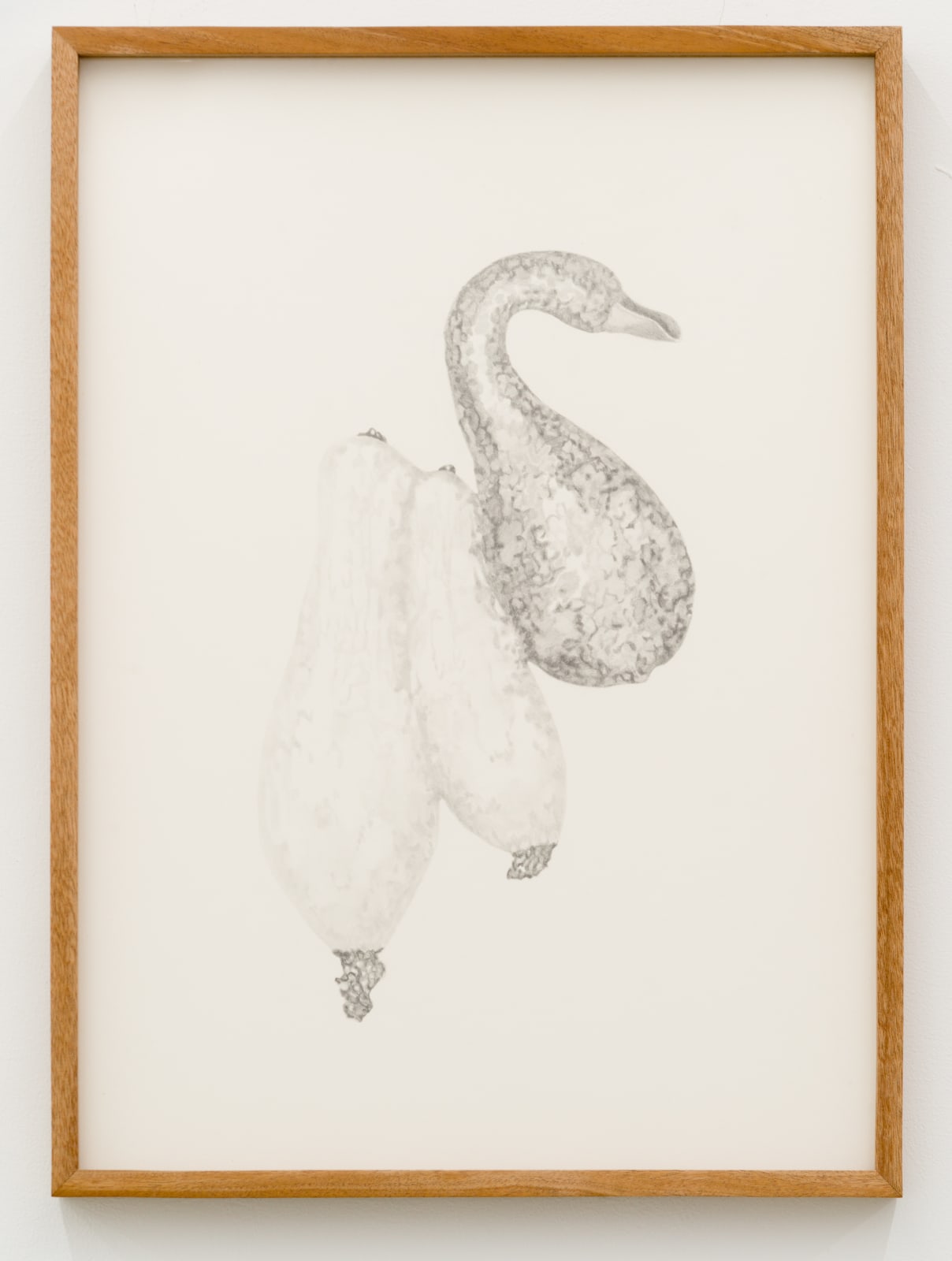 Gala Porras-Kim Gala Porras-Kim, Two joined gourds vessel (conjoined) 两个相连的南瓜导管 （连体的）, 2017