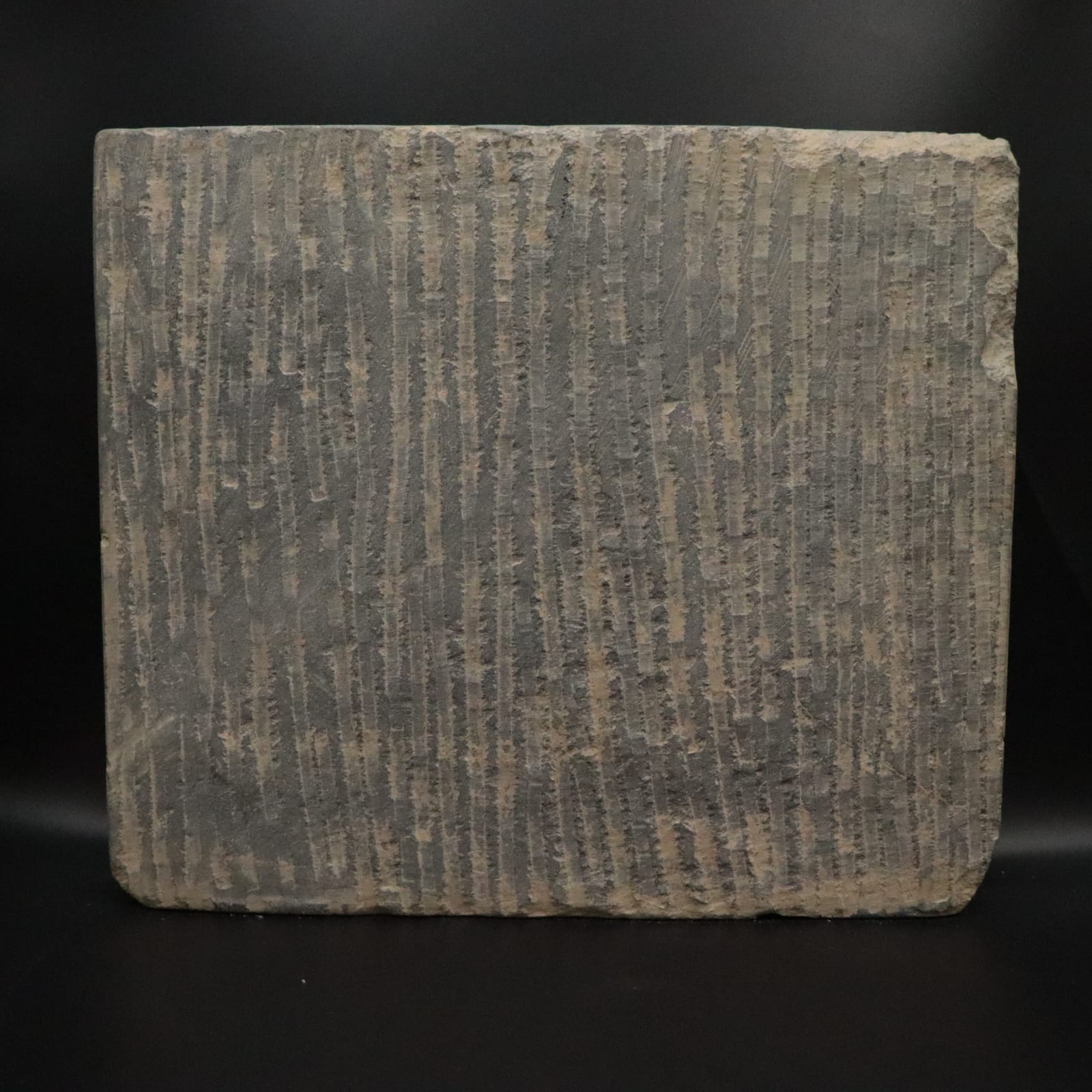 Gandharan Schist Relief Depicting a Scene from the Life of the Buddha Maitreya, 100 - 300 CE