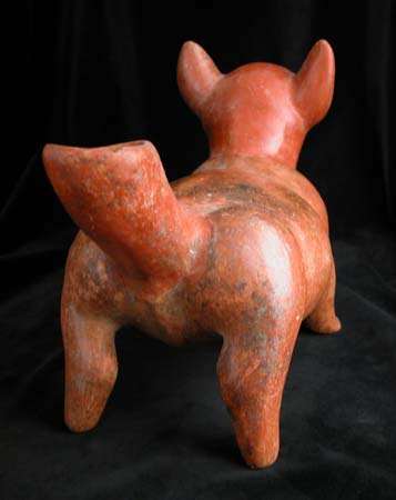 Colima Vessel in the Form of a Standing Dog, 300 BCE - 300 CE