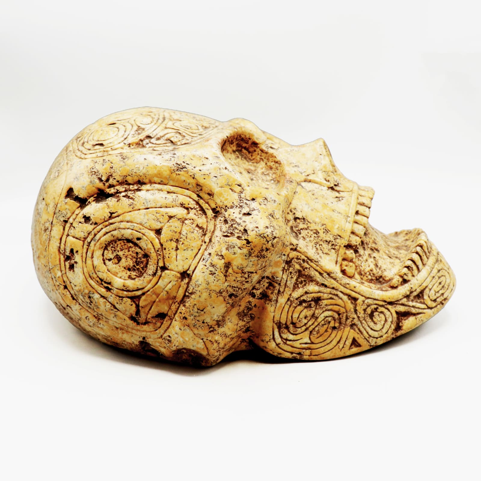 Taíno 'Macorix' Decorated Skull, AD 1400 - AD 1500