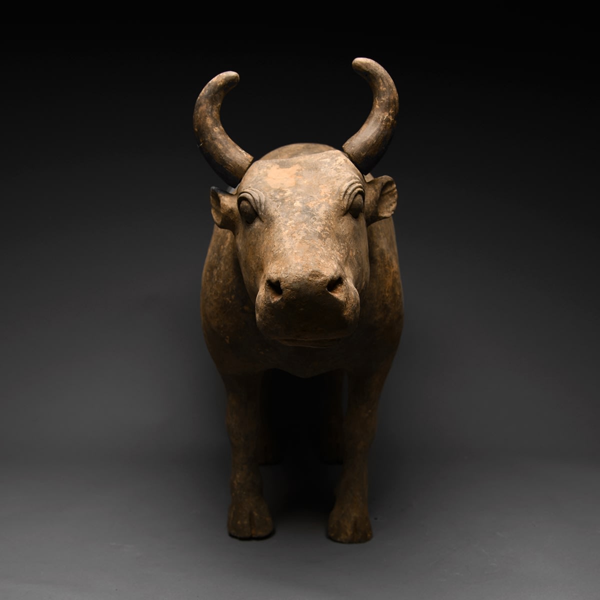 Western Han Terracotta Sculpture of an Ox with Tail and Horns, 206 BCE - 9 CE