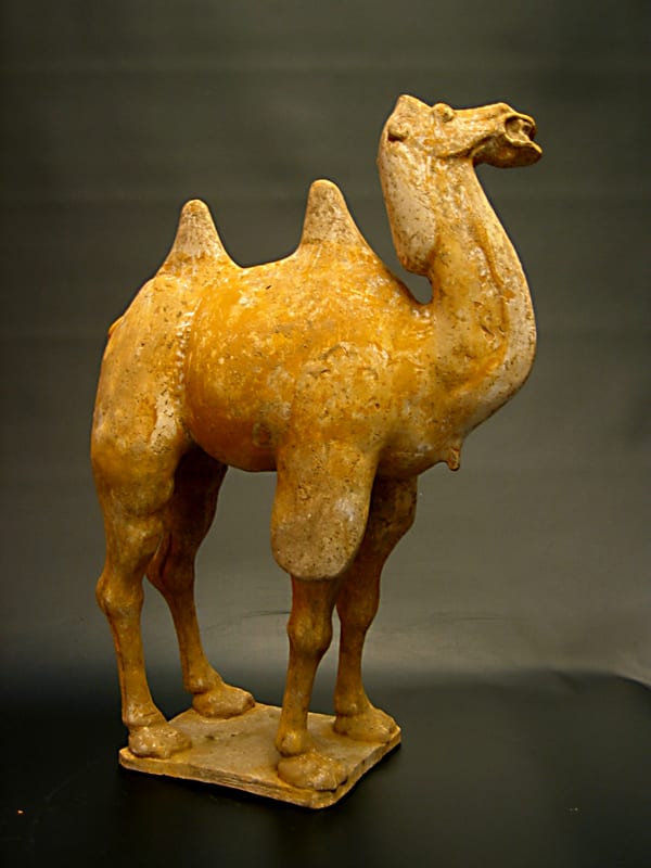 Tang Sculpture of a Camel, 618 CE - 907 CE