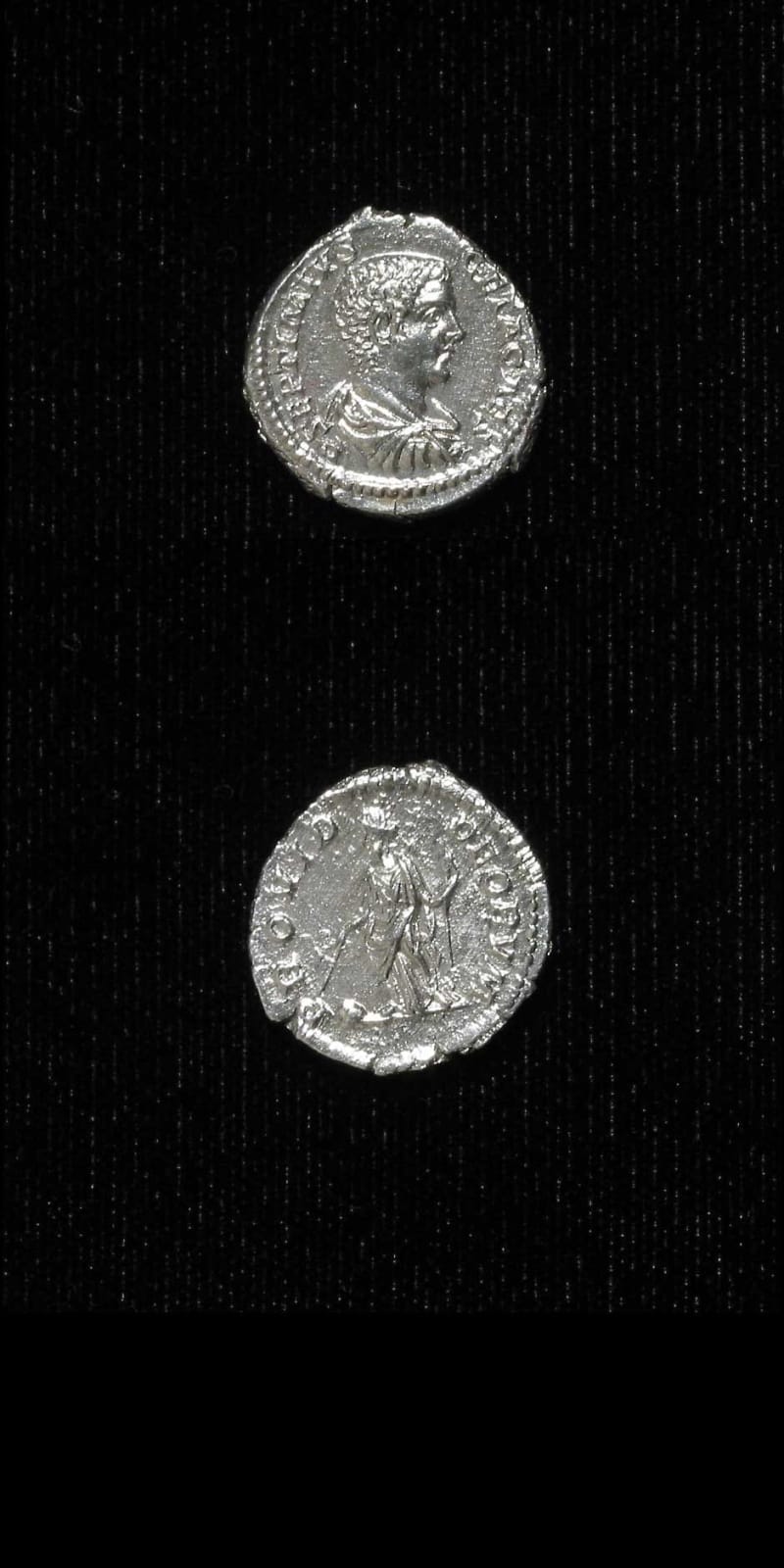 Silver Denarius of Geta Struck While Caesar, 202 CE - 209 CE