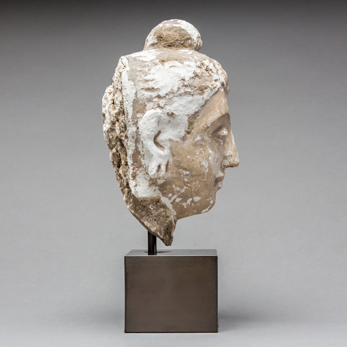 Gandharan Stucco Buddha Head, 100 CE - 300 CE