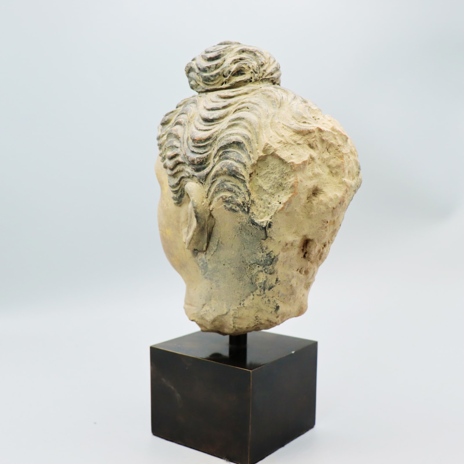 Gandharan Stucco Head of the Buddha, Fourth to Fifth Century AD