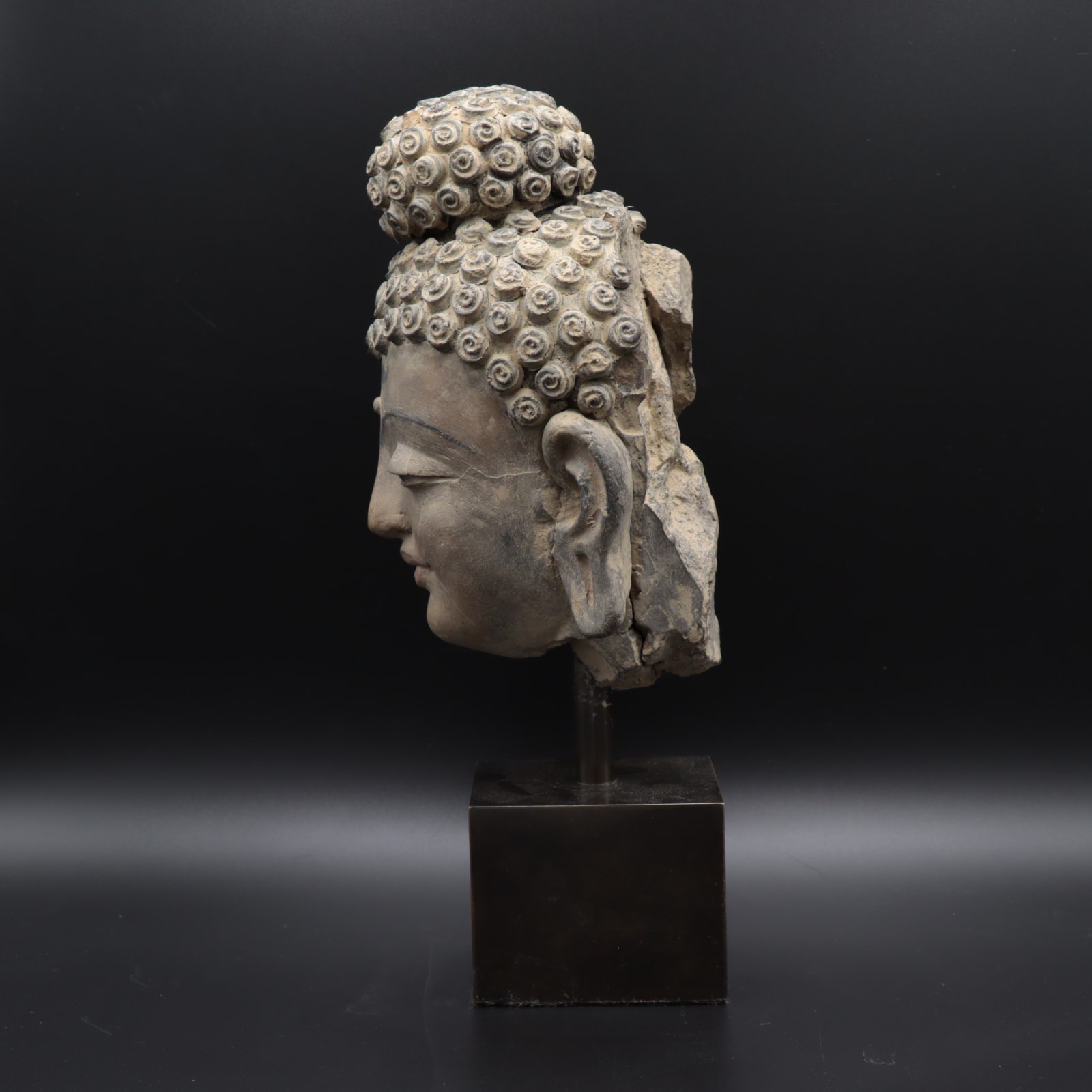 Gandharan Stucco Head of the Buddha, 100 to 300 CE