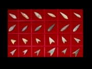 Set of Twenty-Four Neolithic Flint Arrowheads, 6000 BCE - 4000 BCE