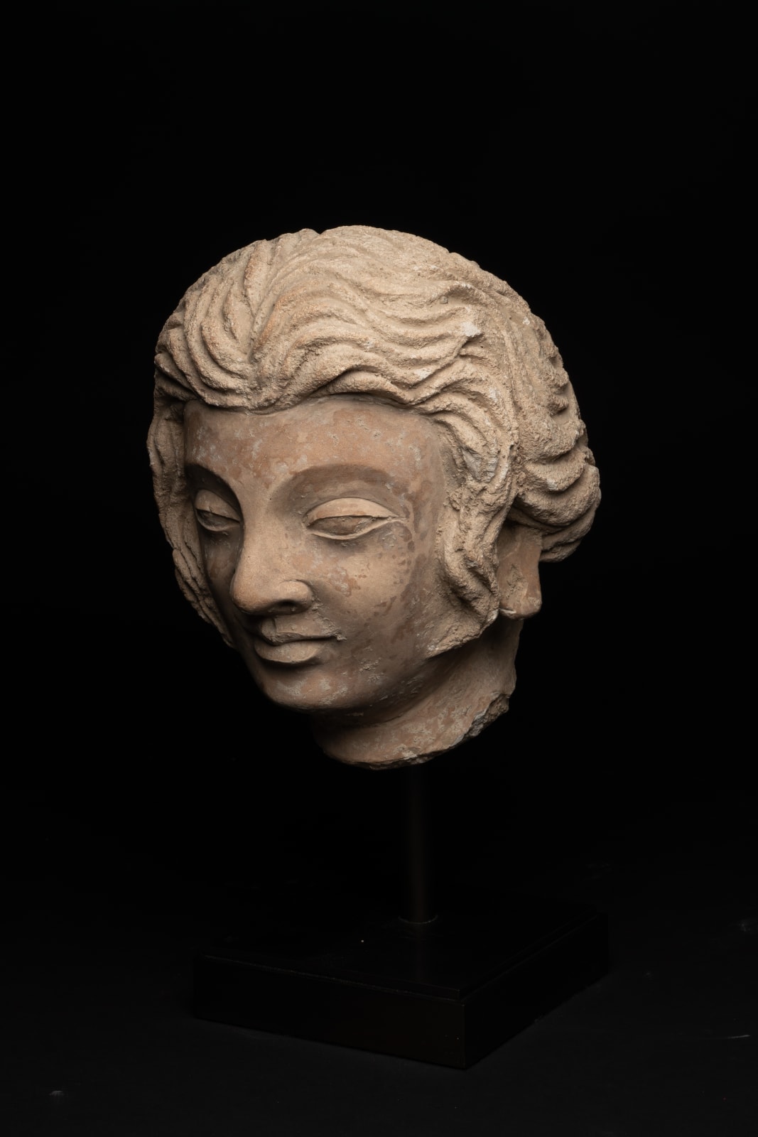 Gandhara Stucco Head, 300 CE - 600 CE