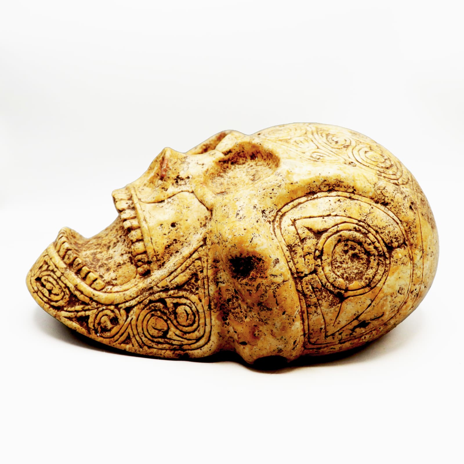 Taíno 'Macorix' Decorated Skull, AD 1400 - AD 1500