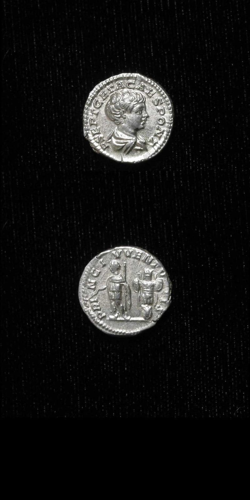 Silver Denarius of Geta Struck While Caesar, 199 CE - 202 CE